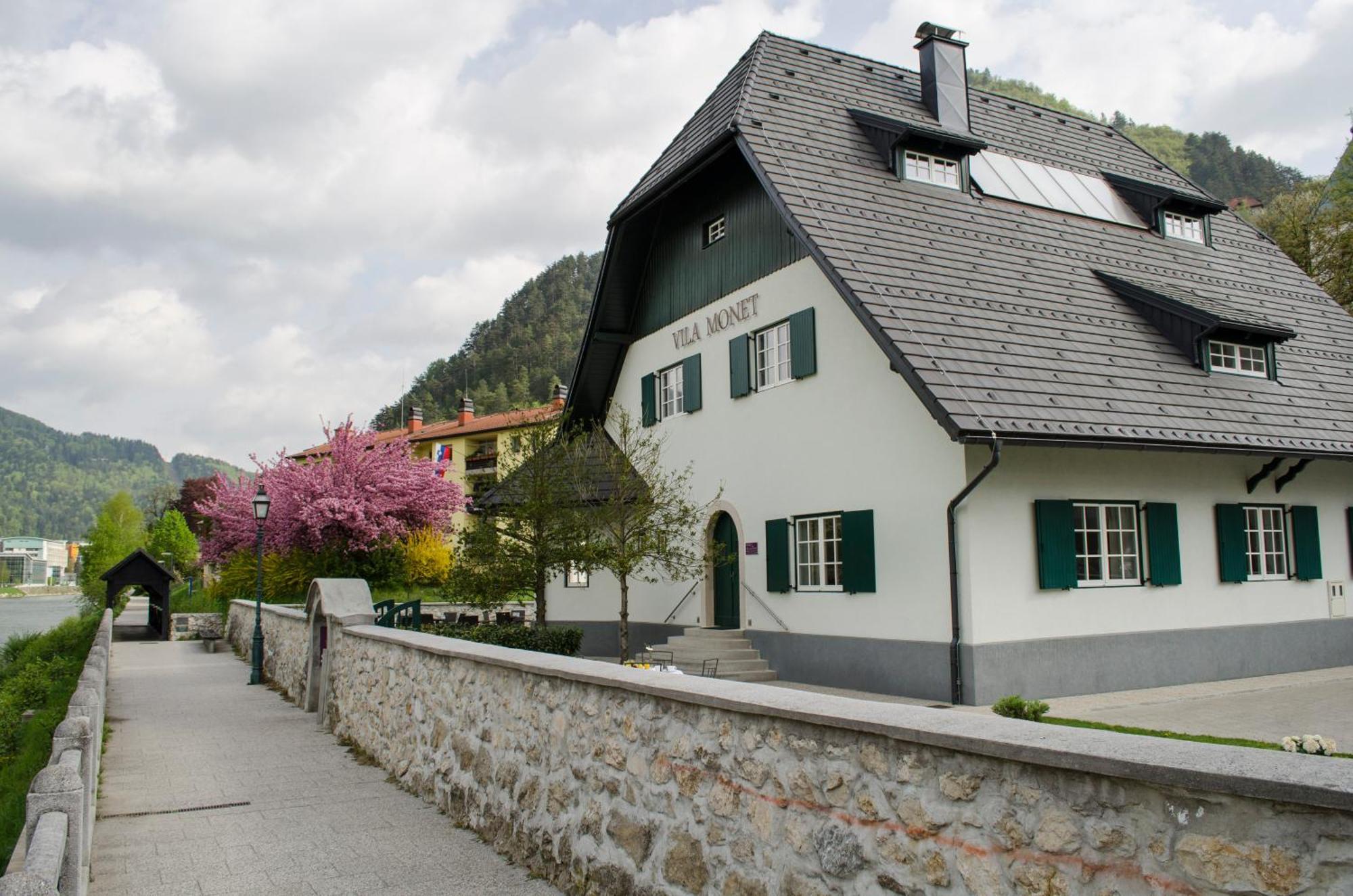 Vila Monet Lasko Exterior photo